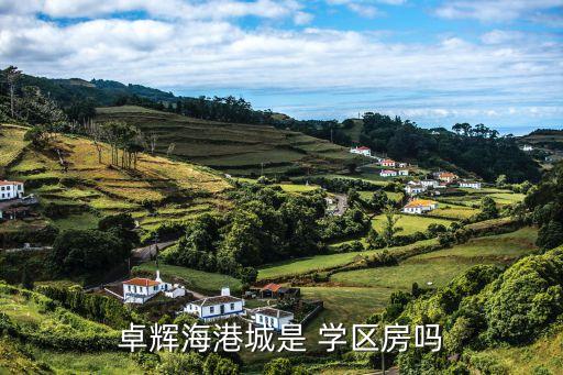 卓辉海港城是 学区房吗