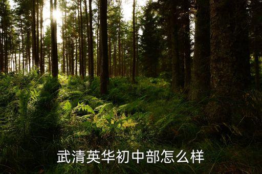 武清初中学区房哪个好2022,天津武清初中学区划分