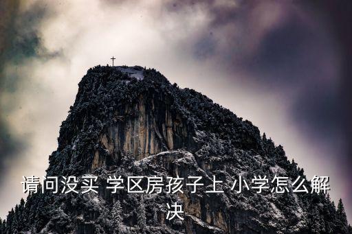 请问没买 学区房孩子上 小学怎么解决