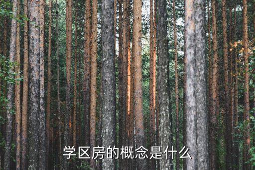学区房的概念是什么