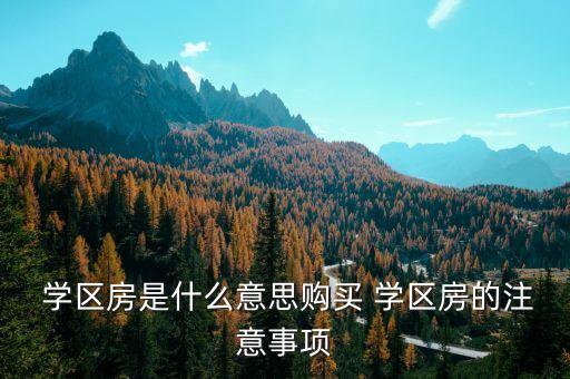  学区房是什么意思购买 学区房的注意事项