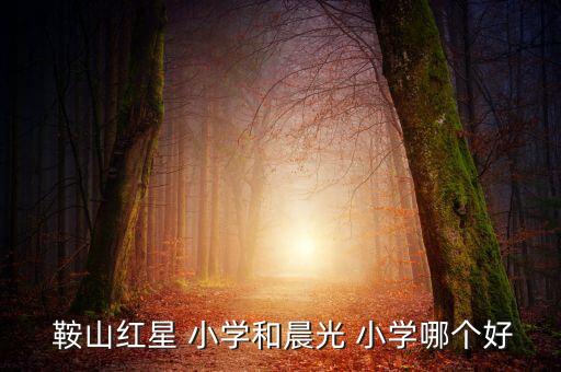  鞍山红星 小学和晨光 小学哪个好