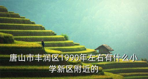 唐山市丰润区1990年左右有什么小学新区附近的