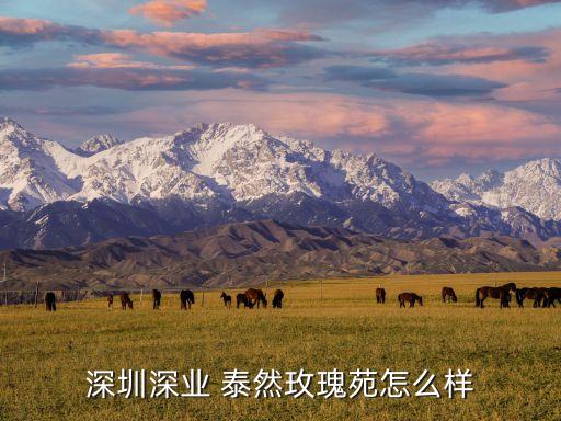 深圳深业 泰然玫瑰苑怎么样