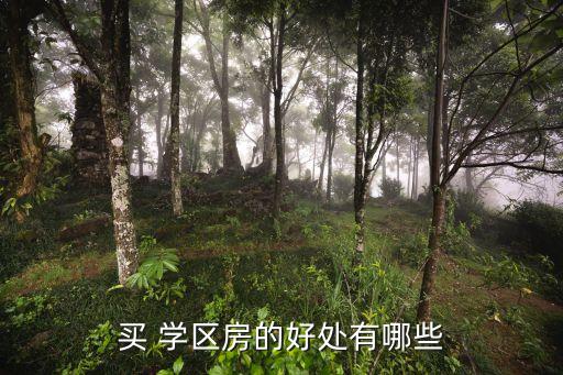 买 学区房的好处有哪些