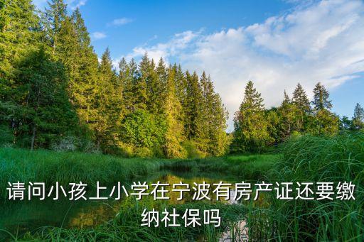 请问小孩上小学在宁波有房产证还要缴纳社保吗