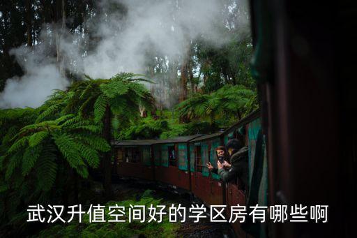 武汉升值空间好的学区房有哪些啊