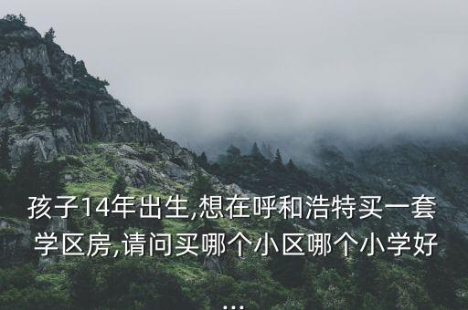 孩子14年出生,想在呼和浩特买一套 学区房,请问买哪个小区哪个小学好...