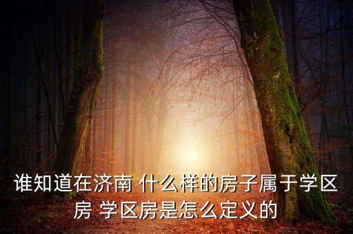谁知道在济南 什么样的房子属于学区房 学区房是怎么定义的
