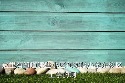 这里有知道哪些小区在实验小学东校区上学的啊