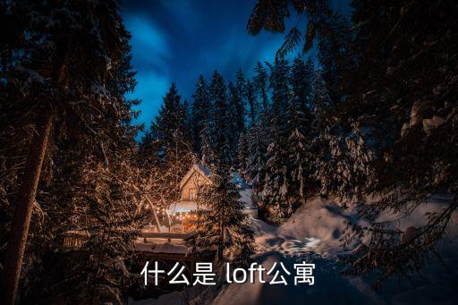 什么是 loft公寓
