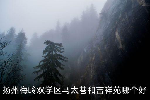 扬州梅岭双学区马太巷和吉祥苑哪个好
