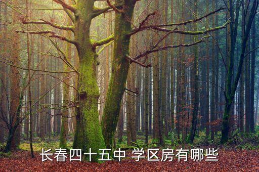 长春四十五中 学区房有哪些