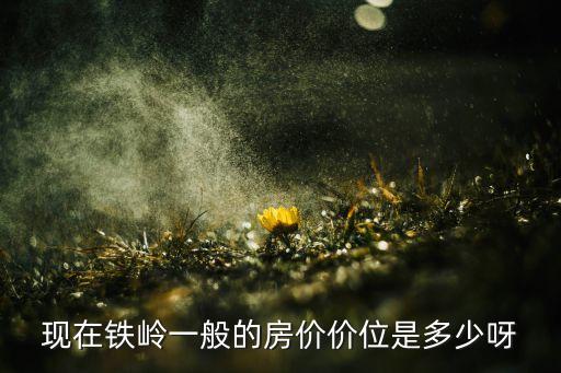 现在铁岭一般的房价价位是多少呀