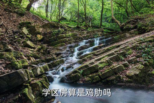 学区房算是鸡肋吗