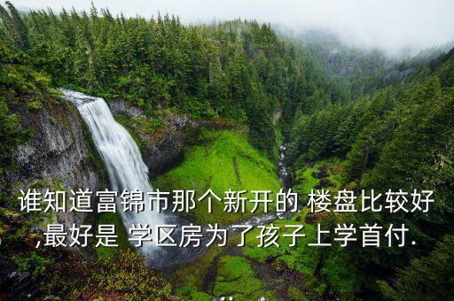 谁知道富锦市那个新开的 楼盘比较好,最好是 学区房为了孩子上学首付...