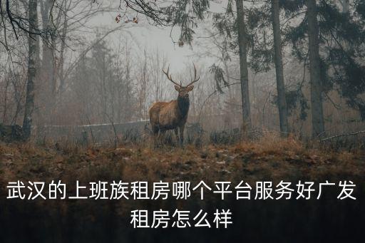 武汉的上班族租房哪个平台服务好广发租房怎么样