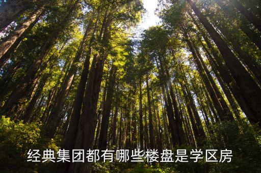 什么楼盘会有学区房卖出，孝感市哪里有新楼盘小初高中学区房卖多少钱一平方