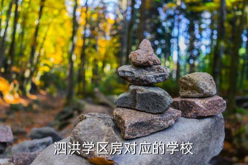 泗洪学区房对应的学校