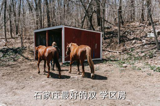 学区房哪个性价比高点呢,哪个牌子的商务车性价比高点