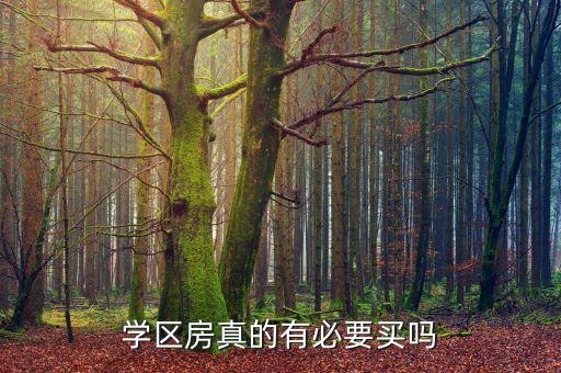 现在为什么都买学区房了，为什么要买学区房为什么难道真的就这么值得吗