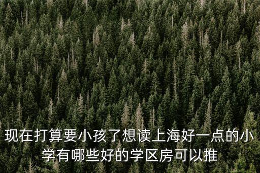 小学区房买什么好点的，学区房买哪儿你真的买对了吗