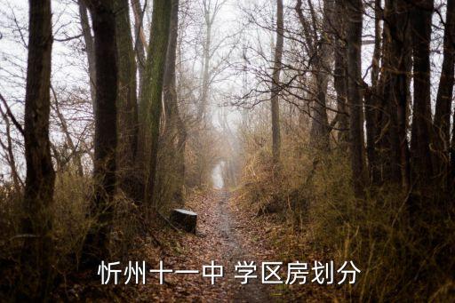  忻州十一中 学区房划分