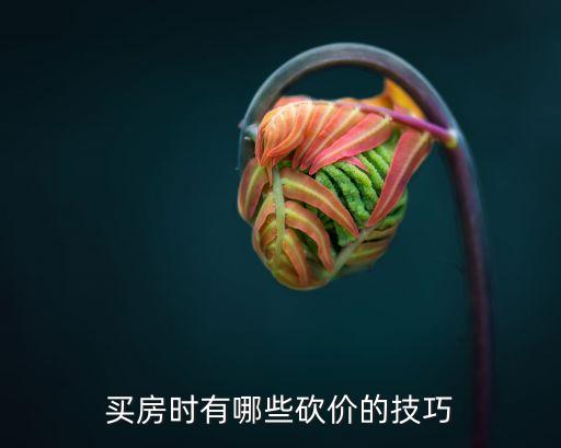 买房时有哪些砍价的技巧