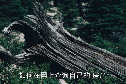 如何在网上查询自己的 房产