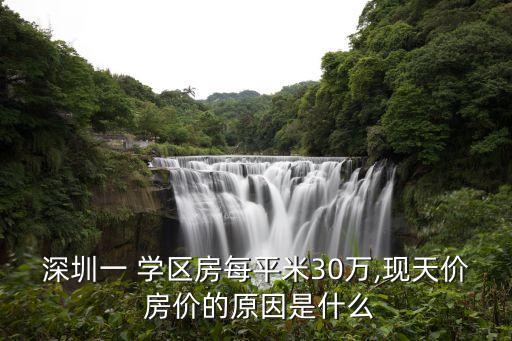 深圳一 学区房每平米30万,现天价 房价的原因是什么