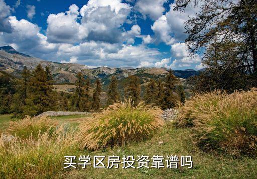买学区房投资靠谱吗