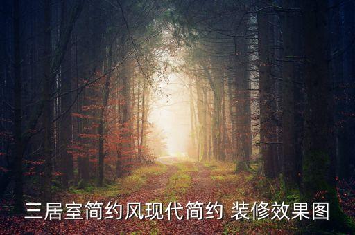 三居室简约风现代简约 装修效果图