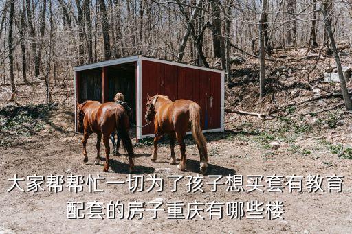 大家帮帮忙一切为了孩子想买套有教育配套的房子重庆有哪些楼