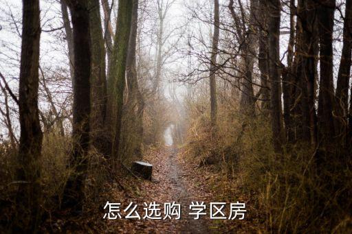 怎么选购 学区房