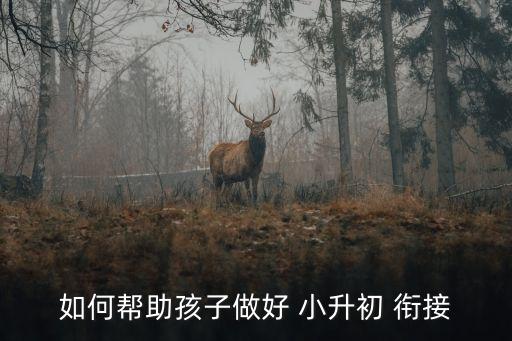 如何帮助孩子做好 小升初 衔接