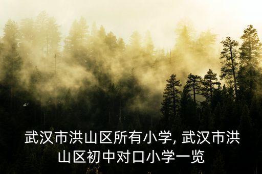  武汉市洪山区所有小学, 武汉市洪山区初中对口小学一览