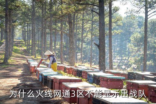 为什么火线网通3区不能显示出战队