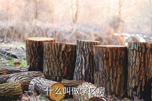 什么叫做学区房