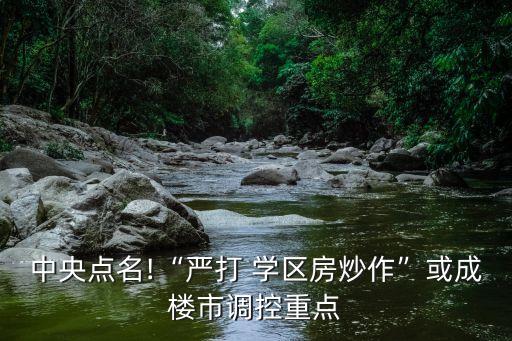 中央点名!“严打 学区房炒作”或成楼市调控重点