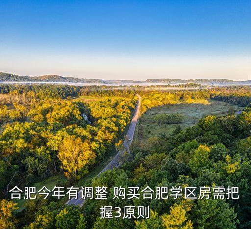 合肥今年有调整 购买合肥学区房需把握3原则