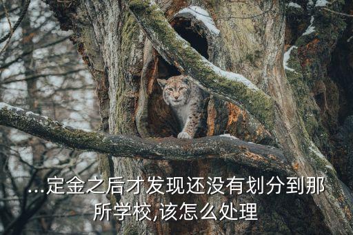 ...定金之后才发现还没有划分到那所学校,该怎么处理