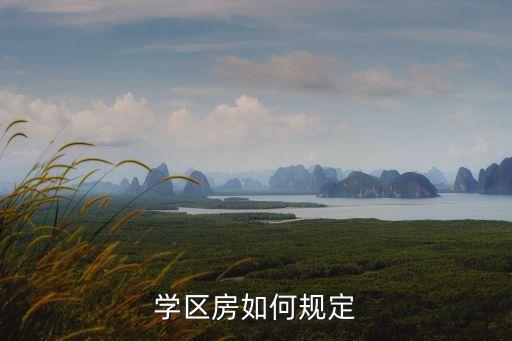 学区房如何规定