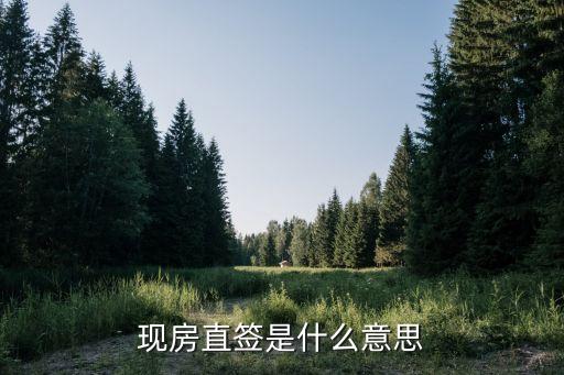 现房直签是什么意思