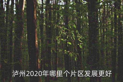  泸州2020年哪里个片区发展更好