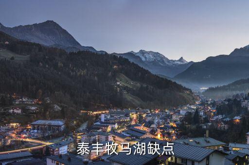  泰丰牧马湖缺点