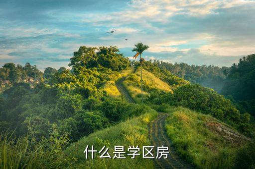 什么是一类二楼学区房啊，什么是学区房