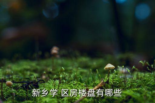 新乡学 区房楼盘有哪些