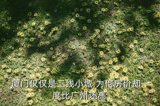  厦门仅仅是二线小城,为何房价却一度比广州还高