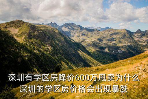 深圳有学区房降价600万甩卖为什么深圳的学区房价格会出现暴跌
