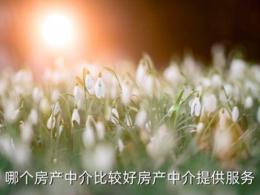 哪个房产中介比较好房产中介提供服务